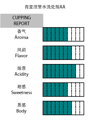 伯雅咖啡 肯亚Nyeri涅里AA邦戈马辛巴处理厂咖啡豆黑加仑蓝莓