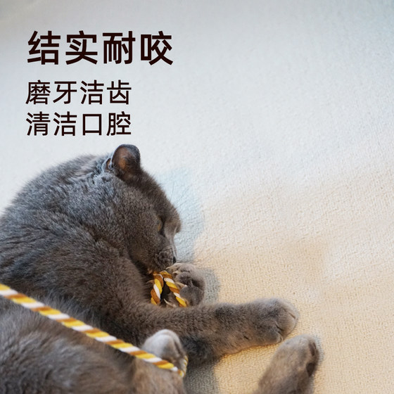 Cat Funny Stick To Grind Teeth And Resistant To Bite