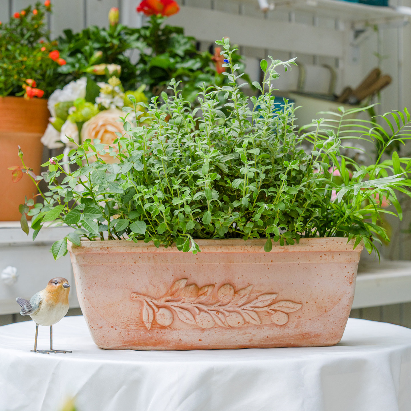 Berry&Bird园艺森林意大利进口手工盆罗马复古浮雕花盆透气红陶盆,淘宝优惠券,粉丝福利购,淘宝优惠卷