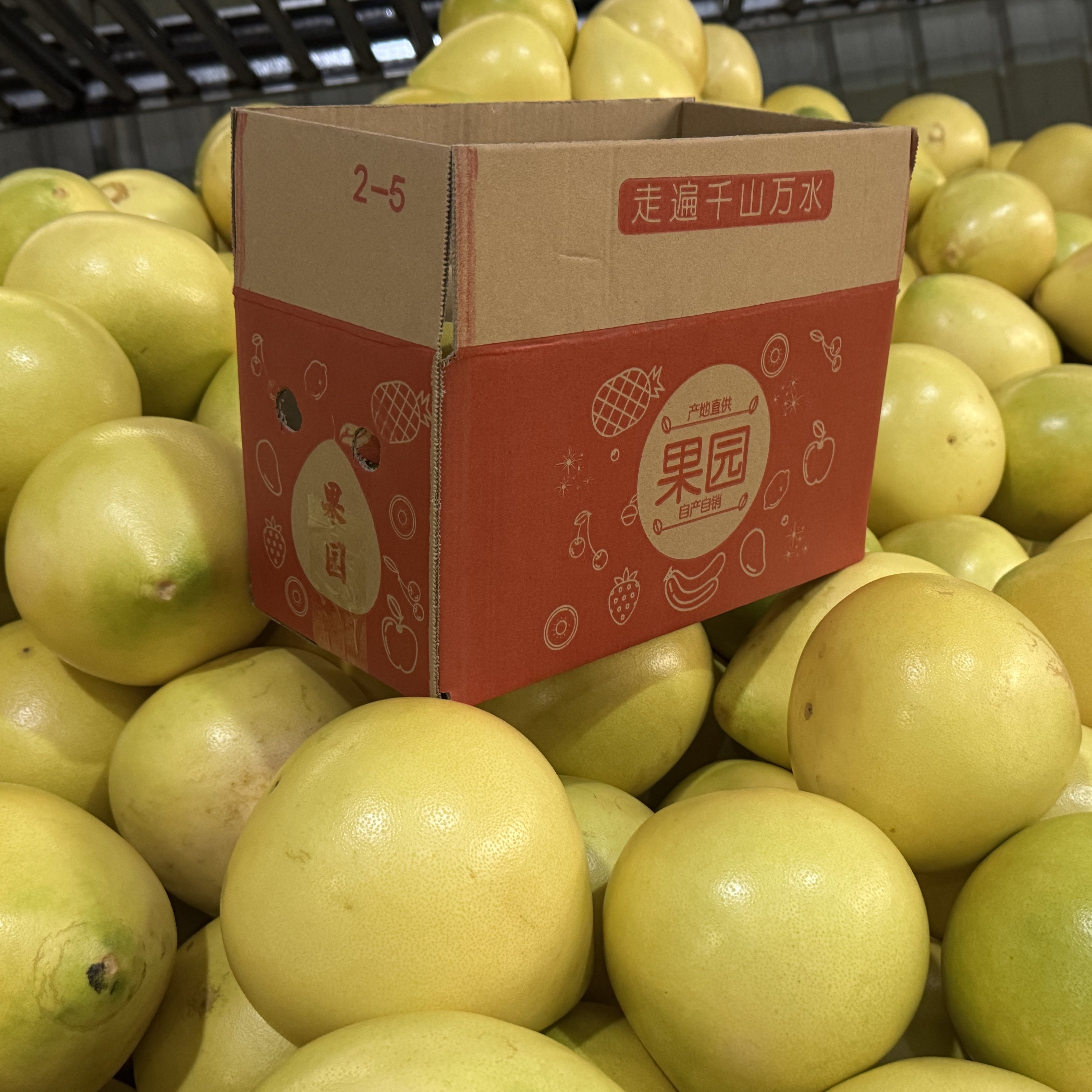 图2