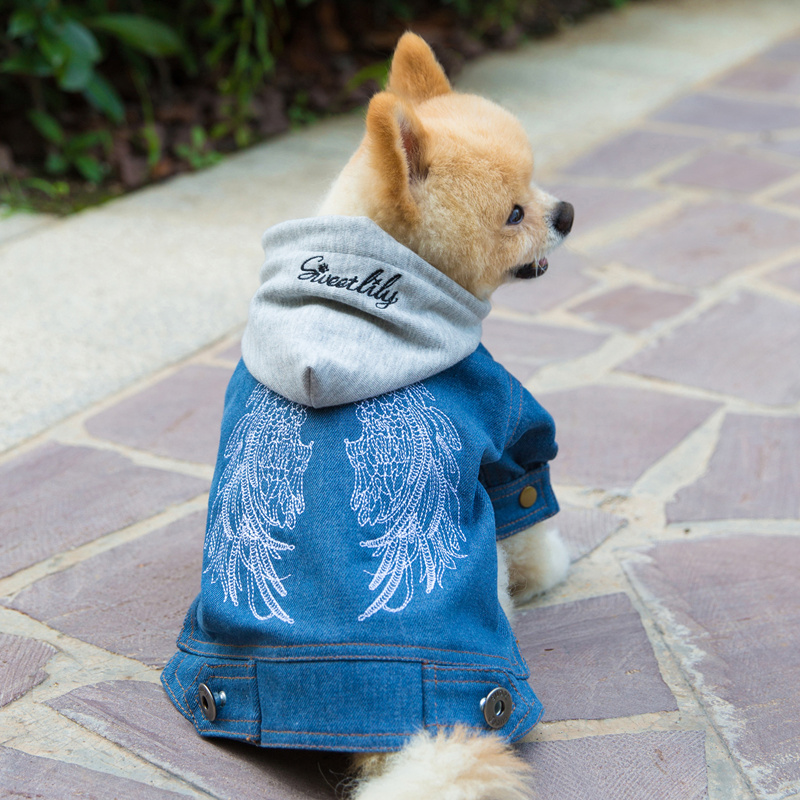 天使的翅膀狗狗牛仔衣服 刺绣 泰迪比熊狗衣服秋季款小型犬秋冬 - 图0