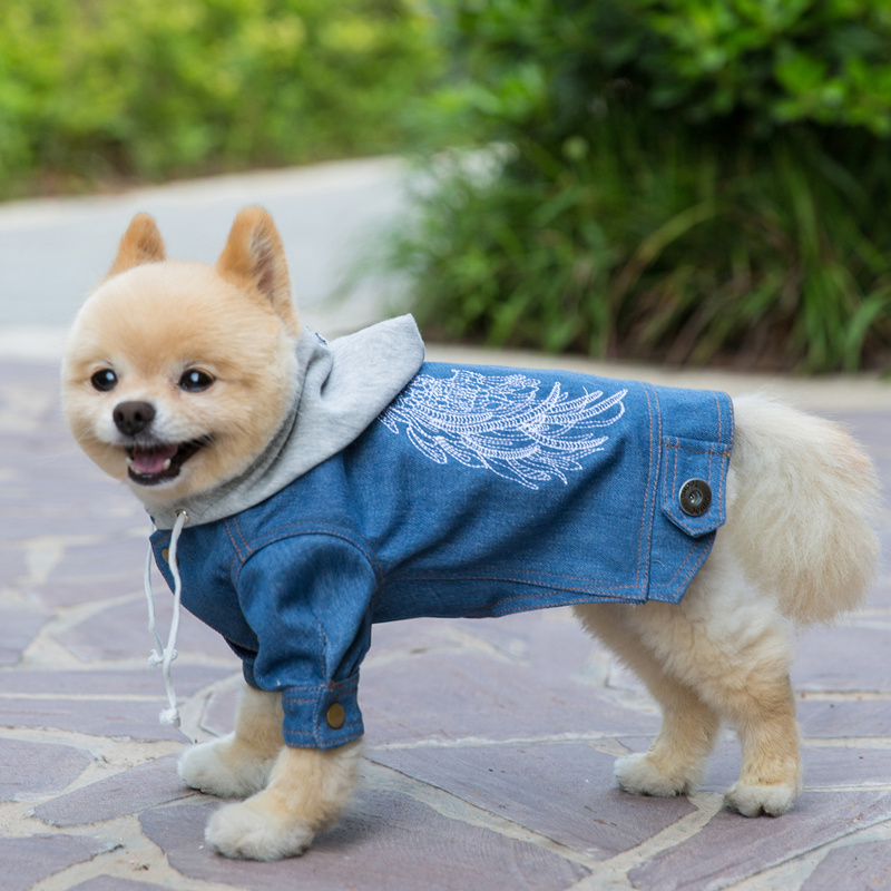 天使的翅膀狗狗牛仔衣服 刺绣 泰迪比熊狗衣服秋季款小型犬秋冬 - 图1