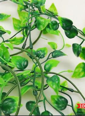 金钱草绿叶植物室内吊顶花藤包邮