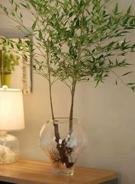 餐桌透明客厅摆件花瓶玻璃创意