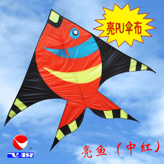 Weifang children's professional beginner's kite