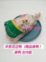 Fresh frozen Hua Ying Duck Grass Hemp Duck Gannan Flower Side Ducks 3 3 catty * 8 Box Saucepan Soup Beer Duck Ingredients