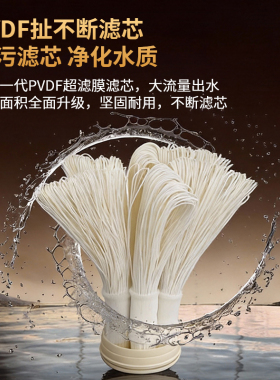 立式智能反冲洗全屋净水器免拆洗