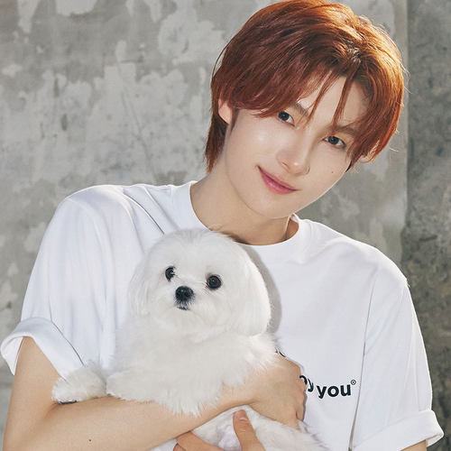 TWS单曲LuckyToBeLoved周边应援衣服同款棉印花短袖T恤打歌夏季 - 图2