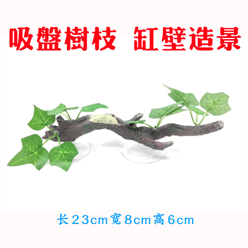 高仿真植物水草爬虫箱水陆生态缸雨林造景爬宠绿植树蛙睫角箱装饰-图2