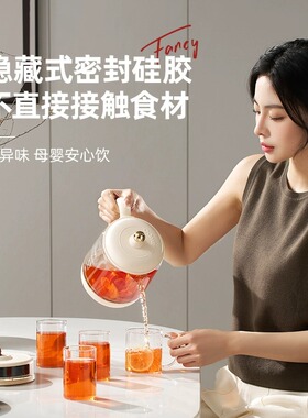 养生壶烧水壶煮茶器电炖锅