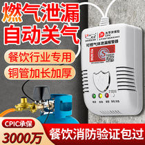 Gas alarm automatically cut off the valve closed coal gas tank leakage dew bottled liquid gas catering merchant with propane