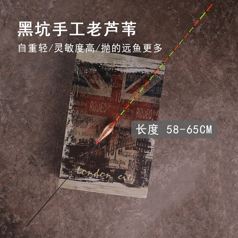 黄金眼流氓漂加长加粗醒目黑坑大物鱼漂60cm超长行程芦苇鲢鳙浮漂 - 图0