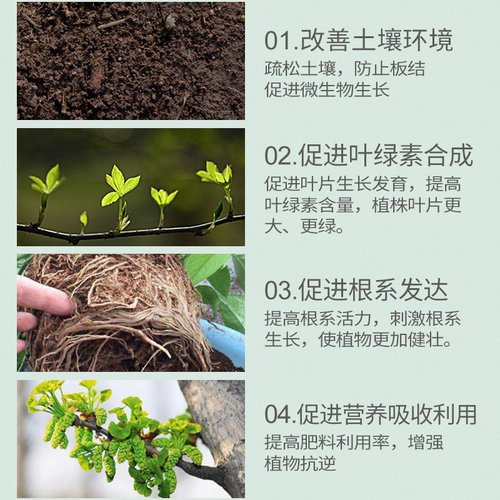 国光棒肥圆柱肥盆景大树古树名木楔形复合肥棒状长效缓释肥料复壮 - 图0