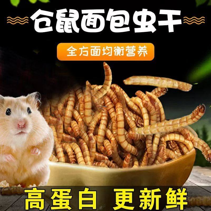 面包虫干黄粉虫干仓鼠粮食龟粮鱼食八哥鸟食芦丁鸡饲料宠物零食,淘宝优惠券,粉丝福利购,淘宝优惠卷