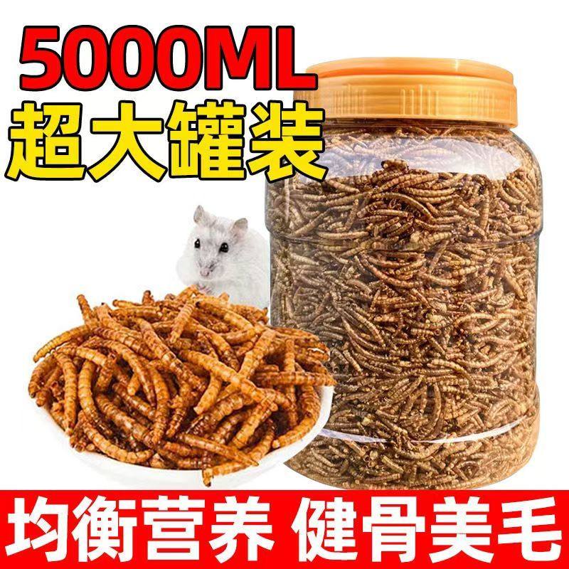 面包虫干黄粉虫干仓鼠粮食龟粮鱼食八哥鸟食芦丁鸡饲料宠物零食,淘宝优惠券,粉丝福利购,淘宝优惠卷