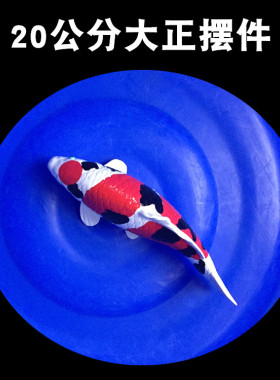 锦鲤模型仿真树脂摆件