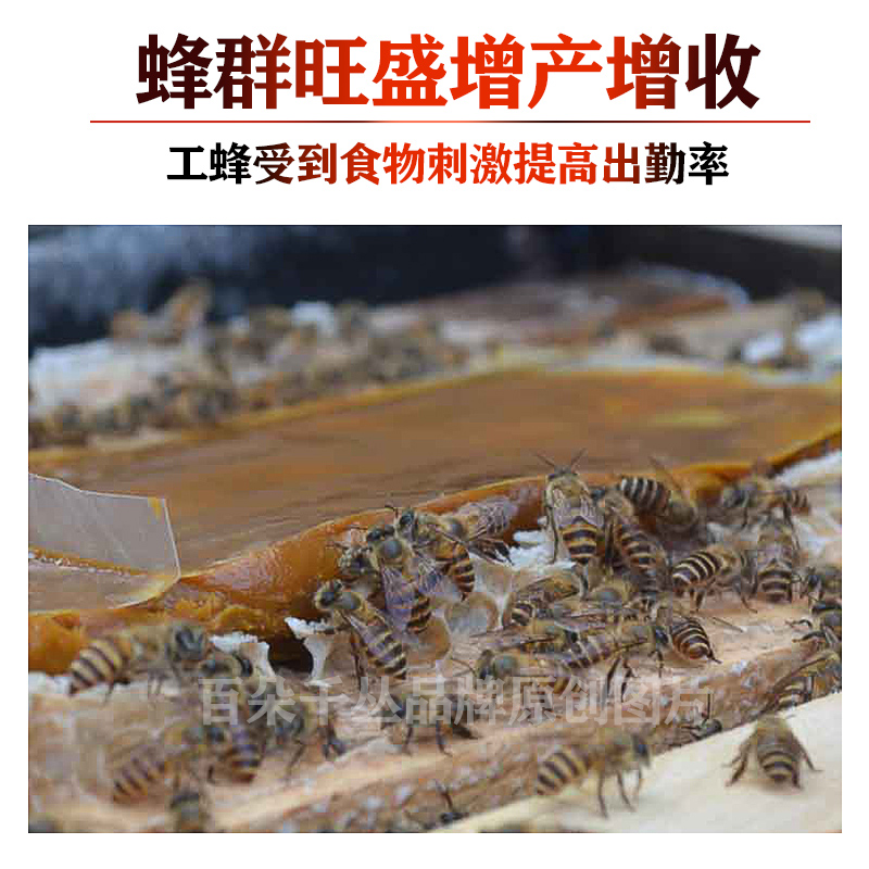 油菜花粉浆饲料蜜蜂营养液蜂粮中蜂用品喂蜂专用工具养蜂神器蜂食