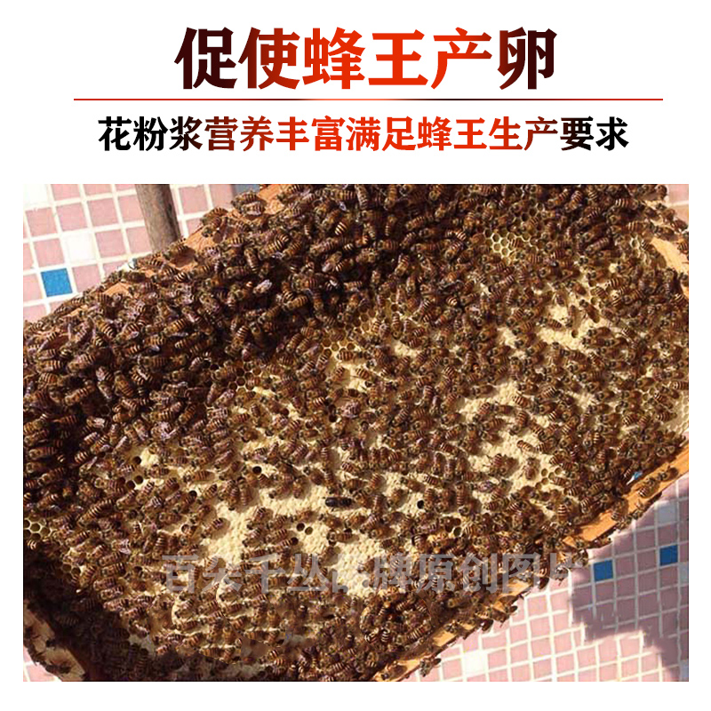 油菜花粉浆饲料蜜蜂营养液蜂粮中蜂用品喂蜂专用工具养蜂神器蜂食