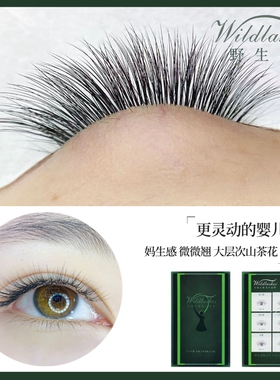 买五送一Wildlashes山茶花婴儿弯睫毛灵动自然20°不挡眼美睫嫁接