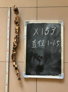 云南黑果木鸟笼站杆天然毛料树瘤