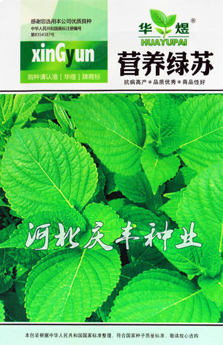 绿苏种子 苏子 苏叶 适合生鱼片 煎黄瓜煮粥 能食用药用 蔬菜种子 - 图0