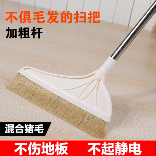 猪毛扫把猪鬃扫帚笤帚家用软毛加长马鬃毛不锈钢杆去头发簸箕套装 - 图1