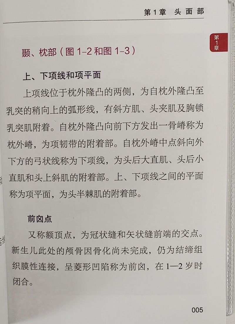 人体体表解剖速查 体表各肌肉的起止点运动功能及神经支配 人体表面解剖图谱 郭长青 黄怡然 主编9787504692047中国科学技术出版社 - 图3