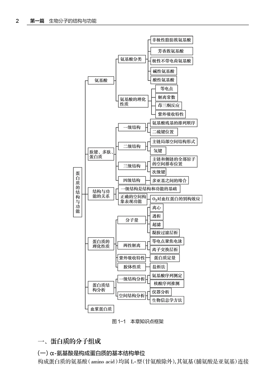 生物化学与分子生物学学习指导及习题集 第2版 十四五全国高等学校配套教材 供八年制及5+3一体化临床医学等专业用 人民卫生出版社 - 图3