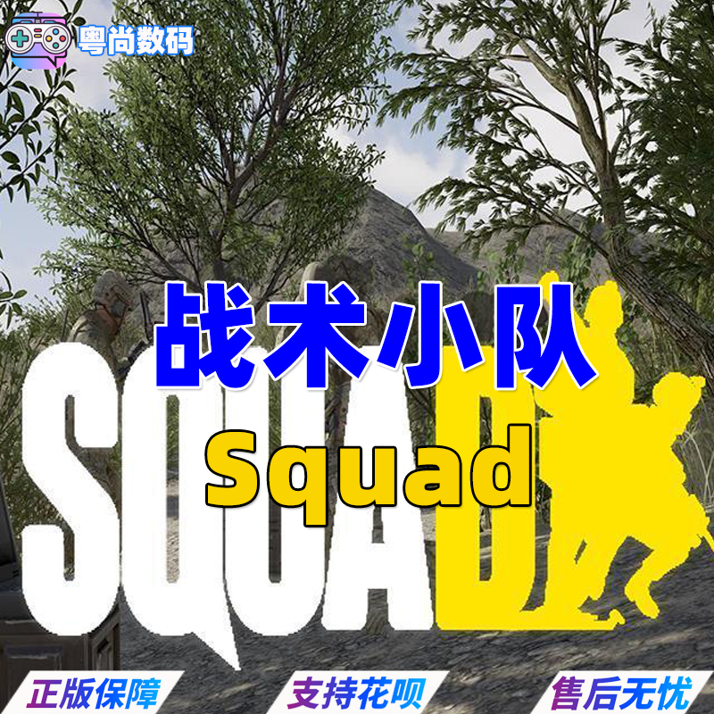 PC正版steam游戏  Squad 战术小队 行动小组 国区 全球激活码 多人 - 图3