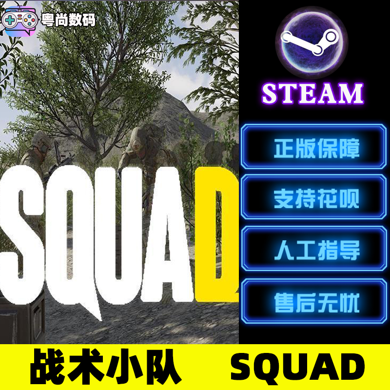 PC正版steam游戏  Squad 战术小队 行动小组 国区 全球激活码 多人 - 图0