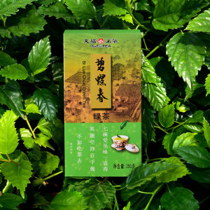 天福茗茶 碧螺春茶叶四川特产绿茶茶叶250g 2024春茶新茶