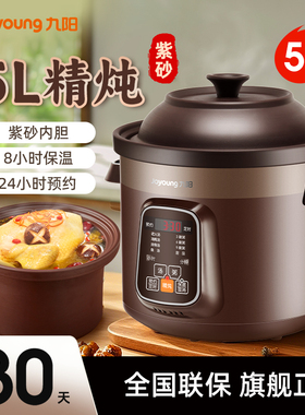 九阳大容量家用全自动紫砂电炖锅