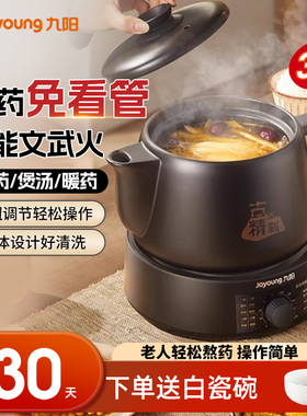 九阳中药电煎壶煎药壶全自动熬药养生壶中药煮药壶家用电药煲饮水