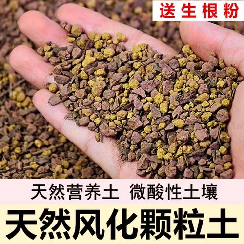 黑松树专用土盆景赤玉土风化土颗粒土营养粒有机肥酸性红土营养土 - 图0
