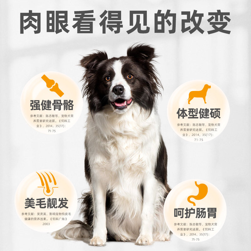 边牧狗粮40斤装边境牧羊犬专用成犬幼犬通用型20kg旗舰店官方正品