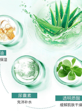 植物医生滇青瓜芦荟山茶花白茶青刺果石斛兰补水保湿面膜官网正品