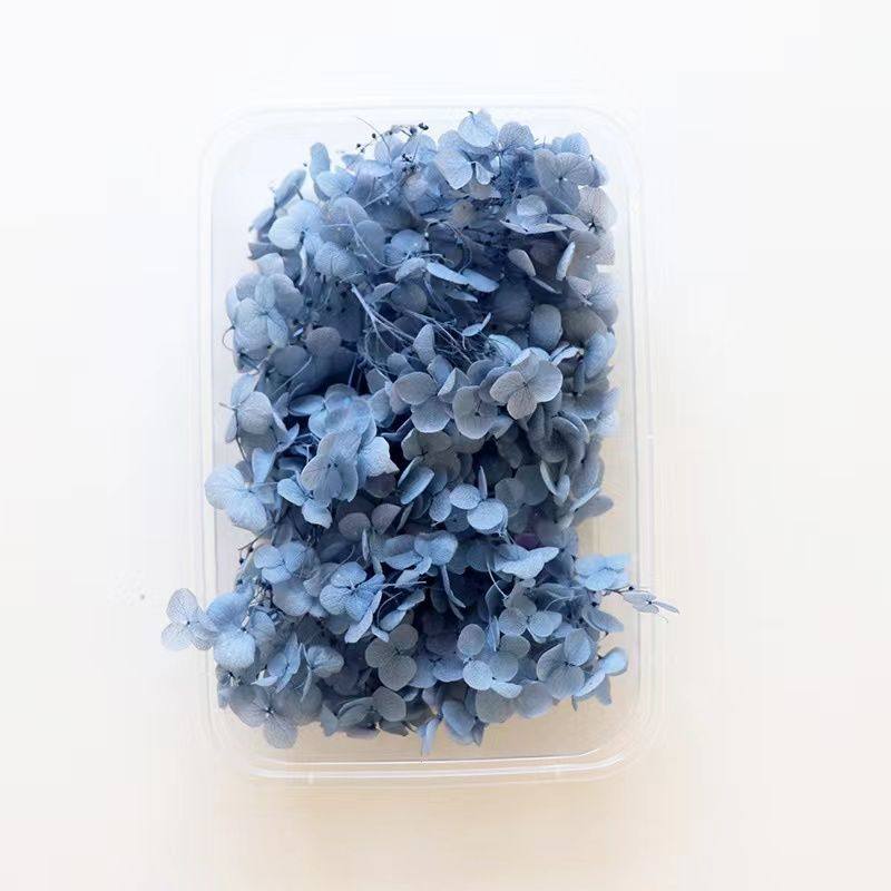 【永生绣球花】安娜绣球木绣球花玻璃罩相框装饰手工diy材料包5g,淘宝优惠券,粉丝福利购,淘宝优惠卷