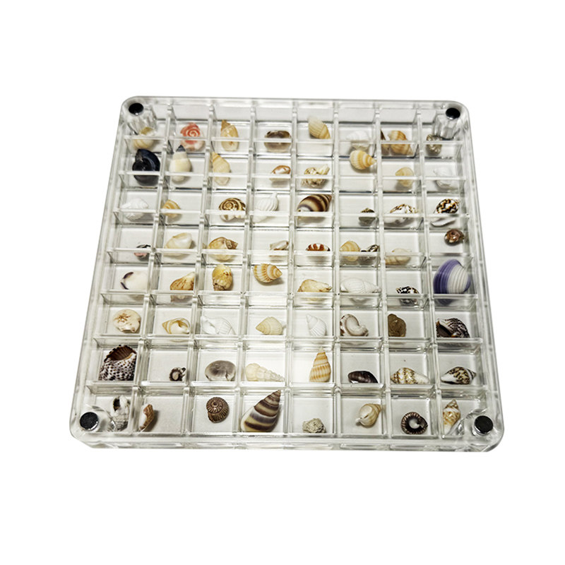 微贝画框高透亚克力贝沙贝壳相框天然迷你小贝壳海螺标本收藏盒,淘宝优惠券,粉丝福利购,淘宝优惠卷
