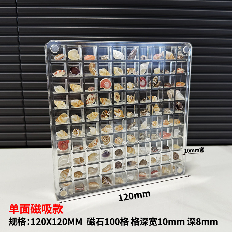 微贝画框高透亚克力贝沙贝壳相框天然迷你小贝壳海螺标本收藏盒,淘宝优惠券,粉丝福利购,淘宝优惠卷