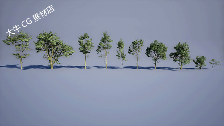 UE5虚幻4 写实高质量大树树植物模型 山林森林场景制作必备素材 - 图2