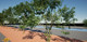UE5 Unreal High-Quality Realistic Film and Television Grade Trees and Vegetation Autumn Forest Plants Summer Autumn Materials