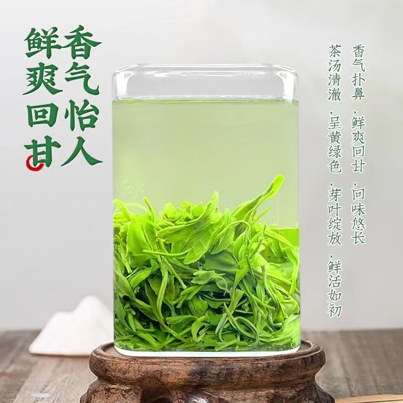 正宗明前信阳毛尖茶叶官方旗舰店正品一级绿茶茶叶2024新茶自己喝 - 图1