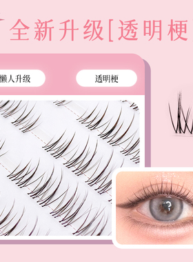 添尤美清新月季妈生自然假睫毛
