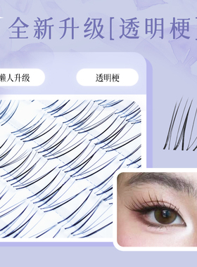 添尤美桔梗单簇上睫毛纤长嫁接感