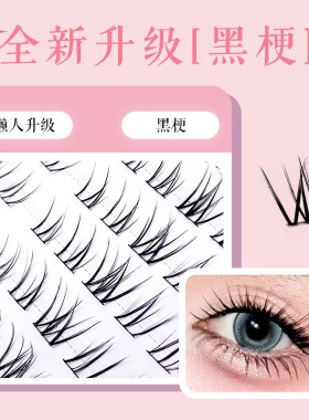添尤美白玉兰单簇分段式假睫毛