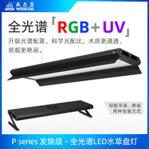 Wilcon P series full spectrum water grass tonic light plant growth lamp WRGBUV spectrum AT5 grass cylinder native burst algae