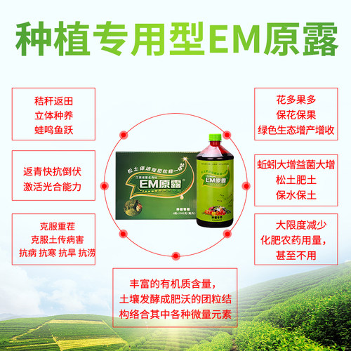 种植型天意EM原露原液菌种微生物菌肥有机肥发酵剂生根剂叶面肥 - 图0