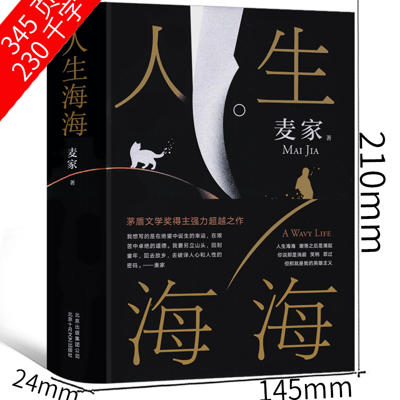 人生海海 麦家正版北京十月文艺出版社茅盾文学奖得主风声解密暗算豆瓣年度中国小说文学书籍畅销书杨洋高晓松董卿朗读者正版包邮 - 图1