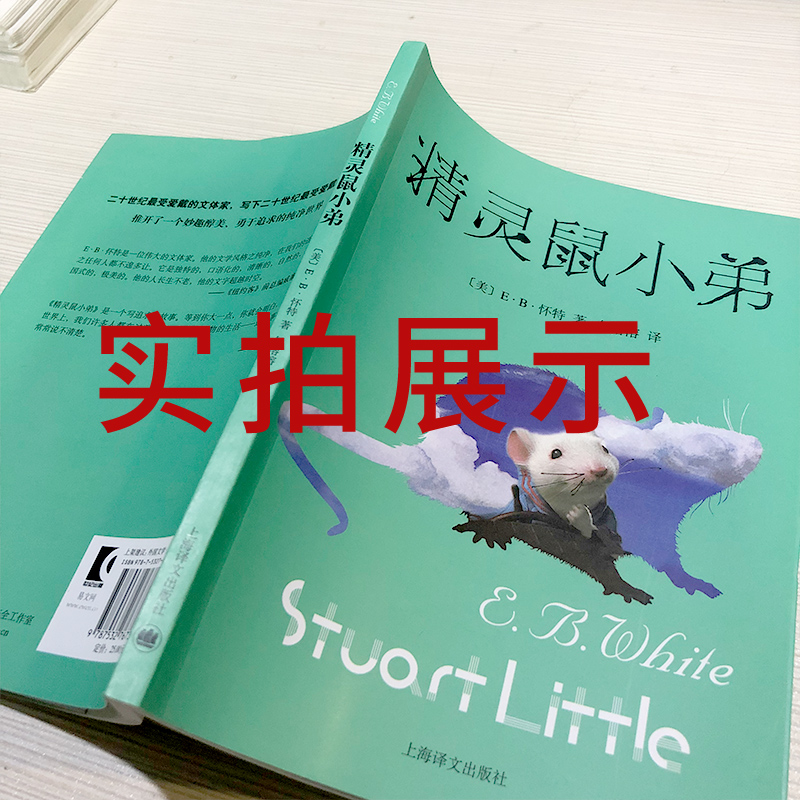 精灵鼠小弟正版原版一年级单本全套四年级小学生绘本三年级上海译文出版社小学生课外书阅读书籍儿童读物6-7-8-10岁非注音版-图2