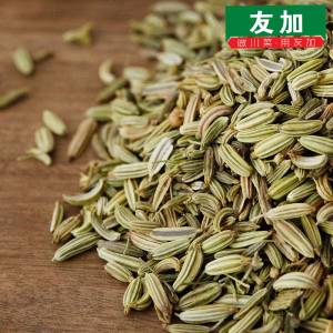 友加小茴香50g 川菜调料烧菜炖菜火锅调料配料卤料大料香料露营